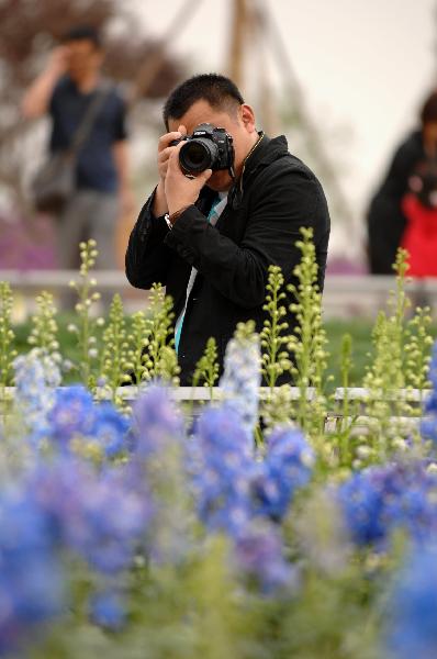 Beautiful scenery at Xi'an Int'l Horticultural Expo, China's Shaanxi