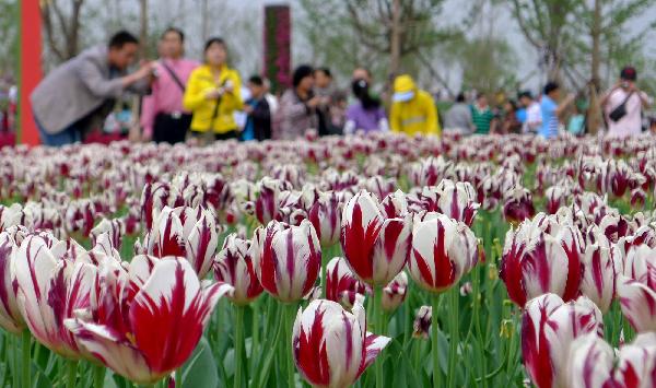 Beautiful scenery at Xi'an Int'l Horticultural Expo, China's Shaanxi