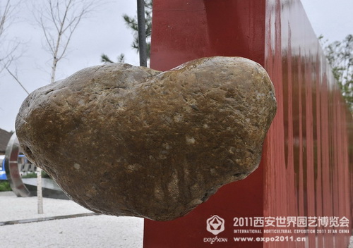 The romantic Xi'an Expo Park in the rain