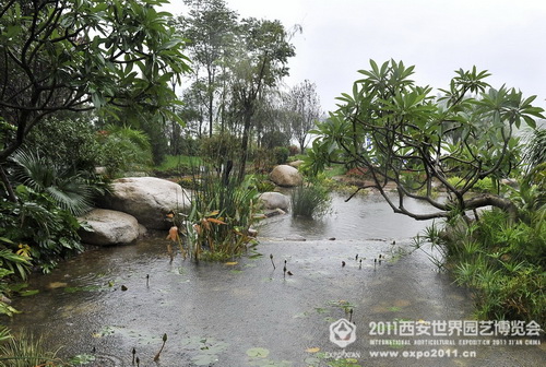 The romantic Xi'an Expo Park in the rain