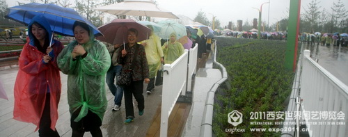 The romantic Xi'an Expo Park in the rain