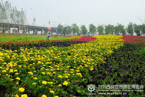 Beautiful sight of nature in Xi'an Expo Park