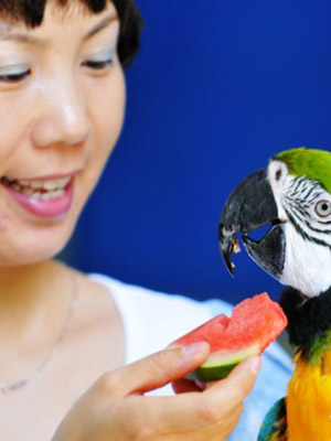 Zoo helps animals escape heat