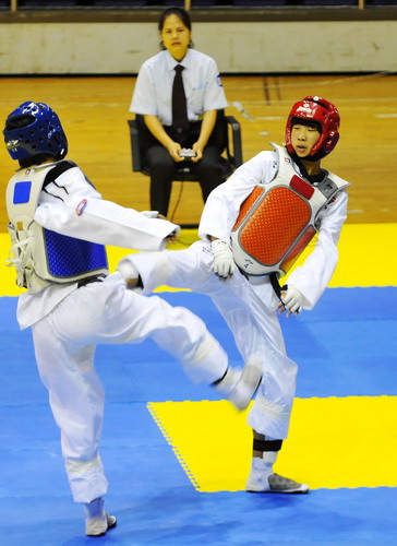 2010 National Taekwondo Competition Kicks off in Fuzhou