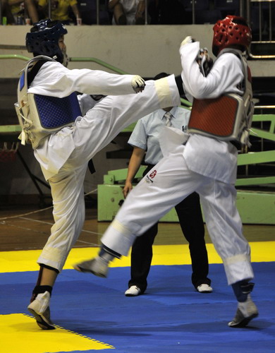 2010 National Taekwondo Competition Kicks off in Fuzhou