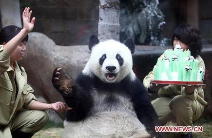 Giant panda's 30th birthday