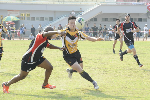 Tigers lose to Rams in home rugby union debut