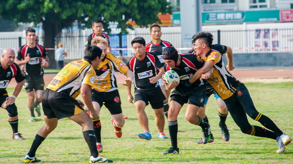 Tigers lose to Rams in home rugby union debut