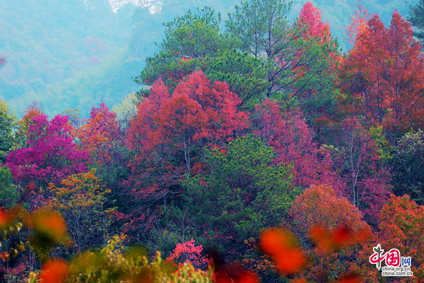 Gorgeous winter landscape in Dehua