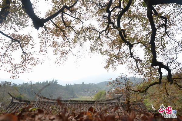 Gorgeous winter landscape in Dehua