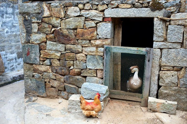 Stone house a living fossile in Pingtan