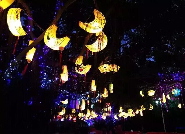 More than 3,000 lanterns to light up Xiamen's parks