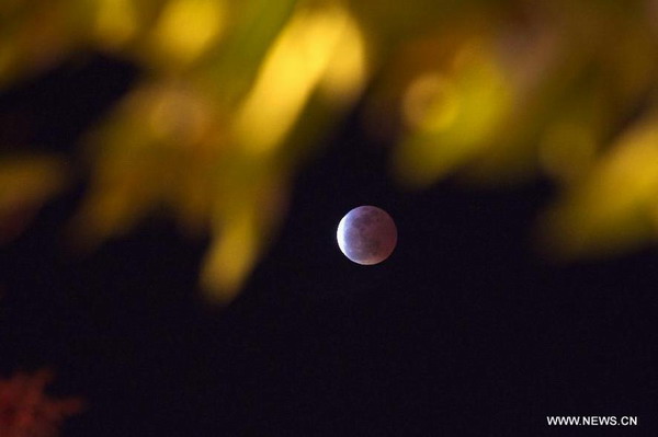 Short lunar eclipse offers a blood red moon