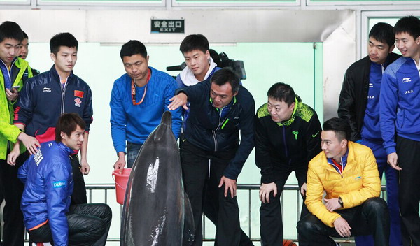 Xiamen appoints first Chinese white dolphin protection ambassador