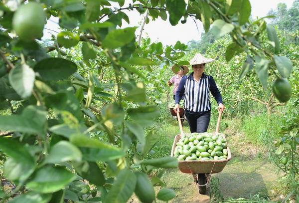 Cross-Straits agricultural cooperation heats up