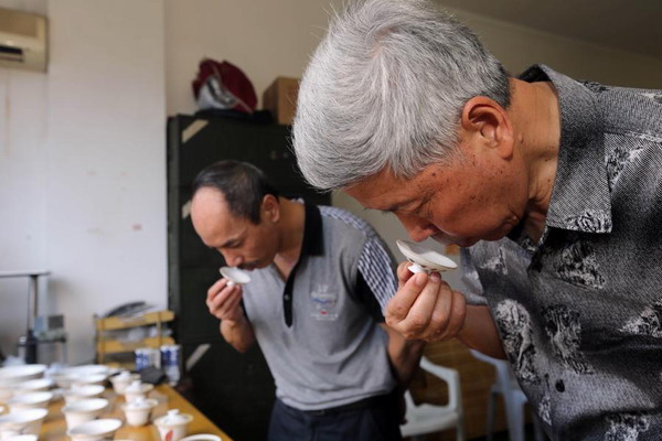 A taste of Wuyishan's tea culture