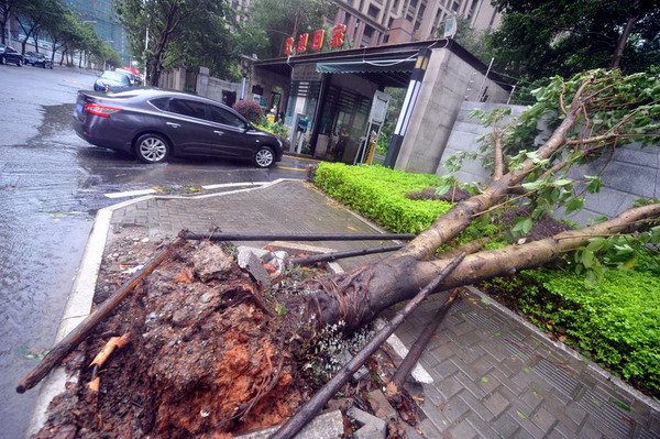 Typhoon Dujuan makes landfall in Fujian