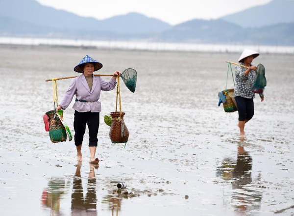 Shellfish harvest in Lianjiang