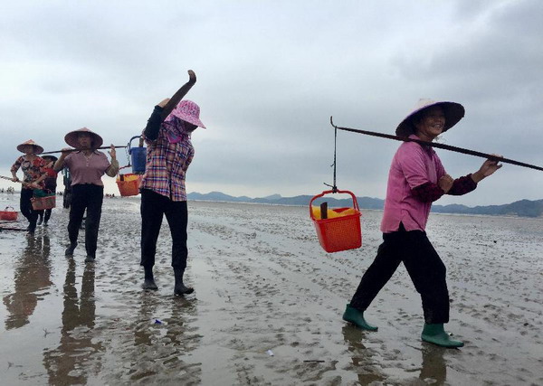 Shellfish harvest in Lianjiang