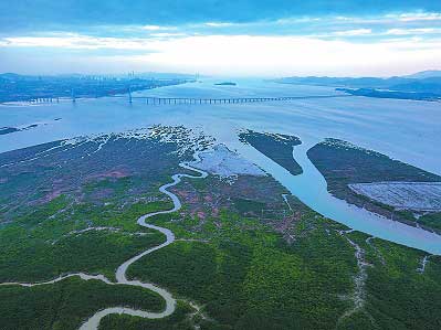 Longhai: hidden gem on the coast of Fujian