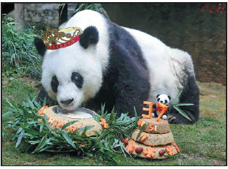 World's oldest panda in captivity hits 37th birthday