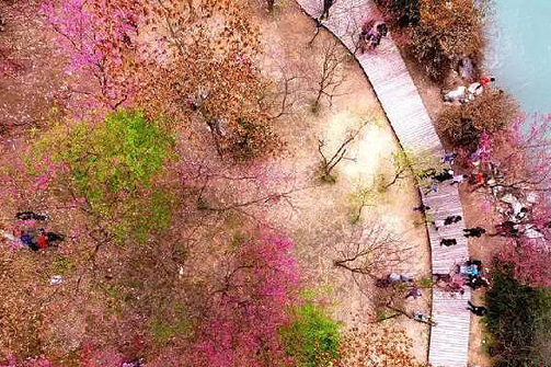 Panorama of flowery Fujian