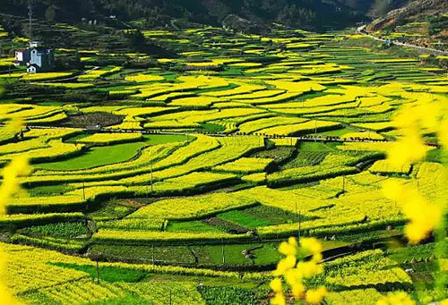 Panorama of flowery Fujian