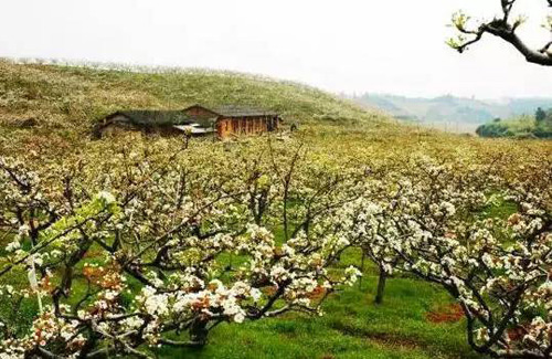 Panorama of flowery Fujian