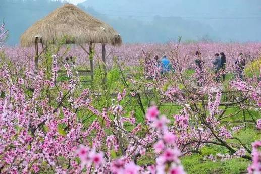 Panorama of flowery Fujian