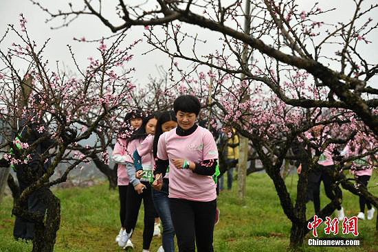 Flowery scenes and mountain air: forest run attracts nature lovers