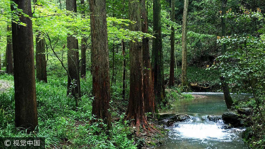 Seven best water escapes during China's summer heat