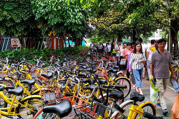 Xiamen among top 10 cities with most shared bike riders