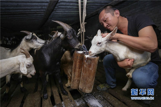 Goat changes the lives of family