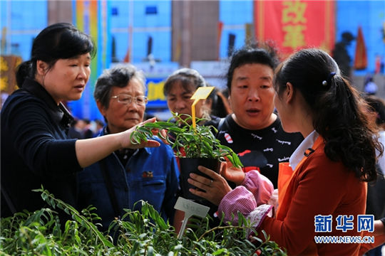 Forestry expo highlights cross-Straits cooperation