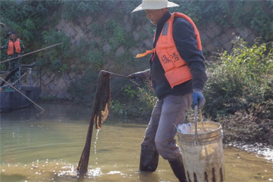 River chiefs: the guardian of water