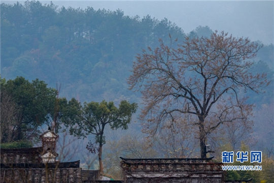 Wuyi Mountains: a fairyland in SE China