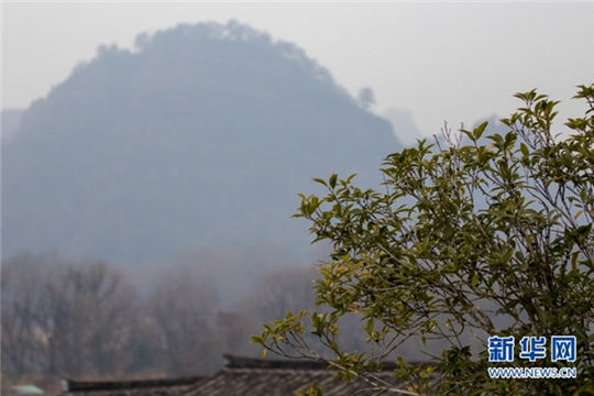 Wuyi Mountains: a fairyland in SE China