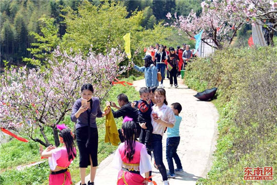 In pics: Peach blossom festival in northern Fujian