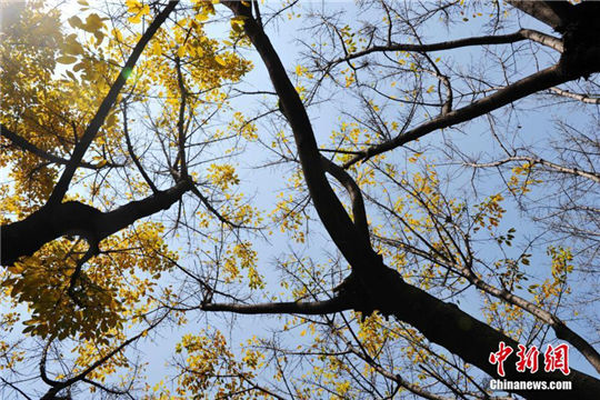 In pics: Autumn view in spring