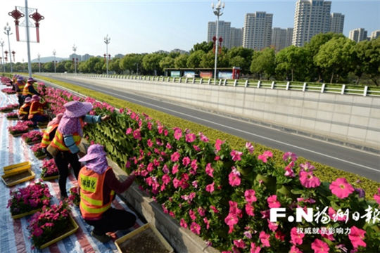 Morning glory blossoms greet guests