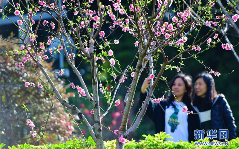 Spring scenery at Wushan scenic spot in Fuzhou