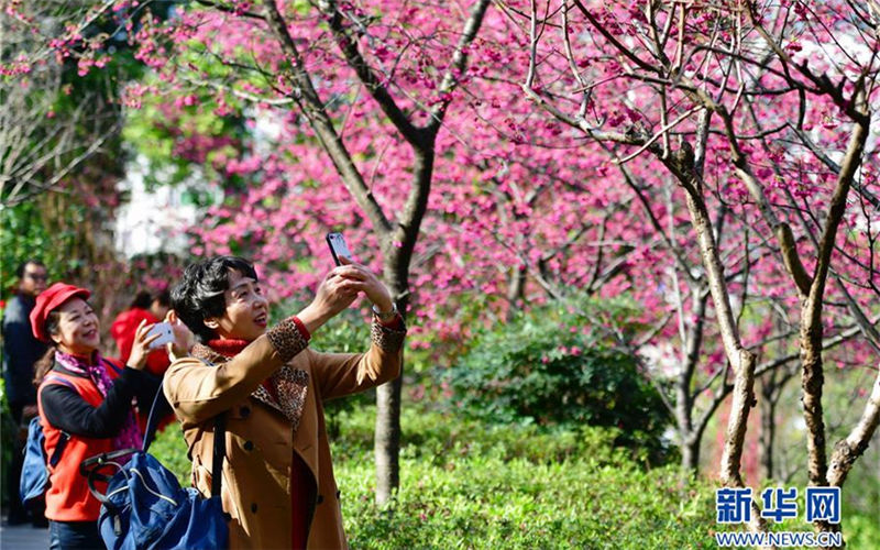 Spring scenery at Wushan scenic spot in Fuzhou