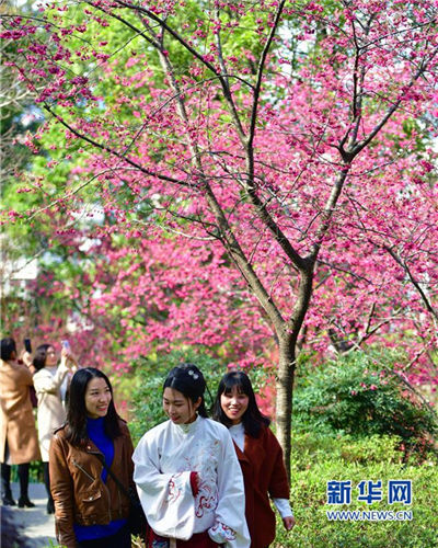 Spring scenery at Wushan scenic spot in Fuzhou
