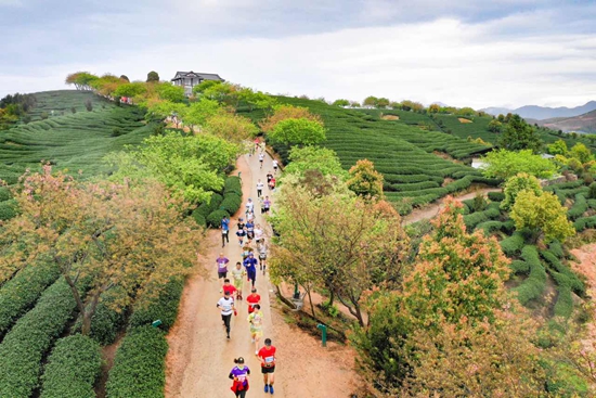 Runners enjoy cherry blossoms in Fujian Zhangping Yongfu Intl Marathon