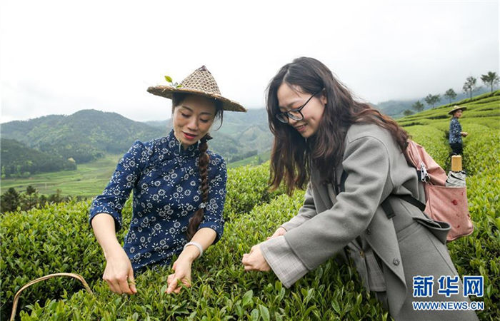 Folk cultural activity held to pray for harvest of tea in Fujian