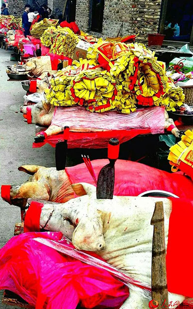 Ancient ancestral worship ceremony held in Xiamen