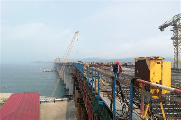 China's first cross-sea rail-road bridge to open to traffic in 2020