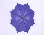 Fulong (Fujian) Umbrella Co