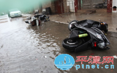 In photos: typhoon Soudelor wreaks havoc in Pingtan