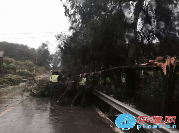 In photos: typhoon Soudelor wreaks havoc in Pingtan